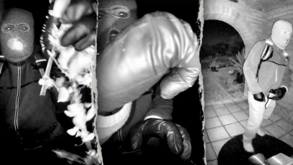 🔍 Found in seconds