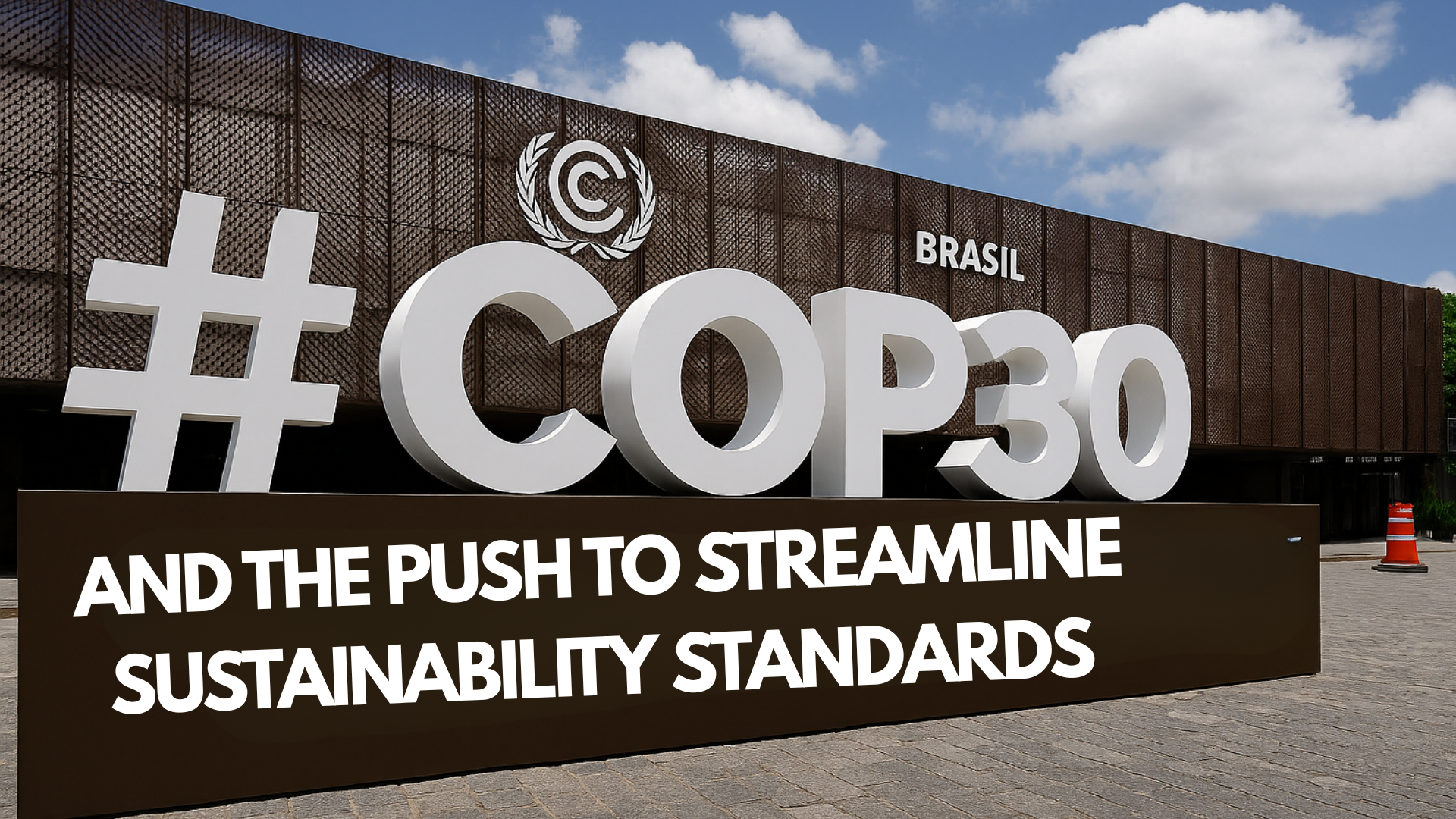 COP30 and the Push to Streamline Sustainability Standards
