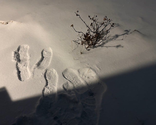 Winter storm arrives: Travel disruptions begin across Oklahoma