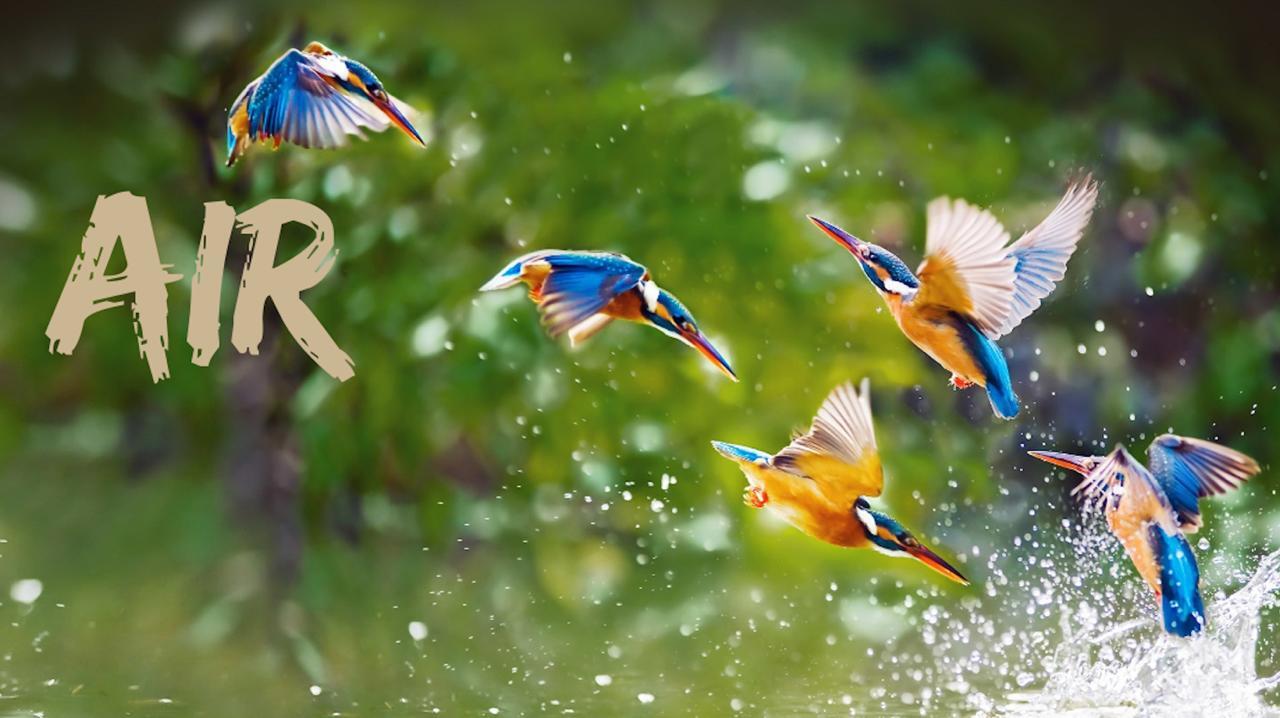 🌬️ Air’s Breath — The Language of the Mind