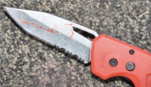 #162: Nazis 🤝Hezbollah