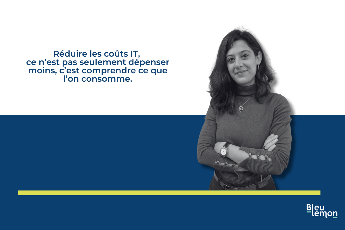 Réduction des coûts IT : au-delà du temps et des lignes de code