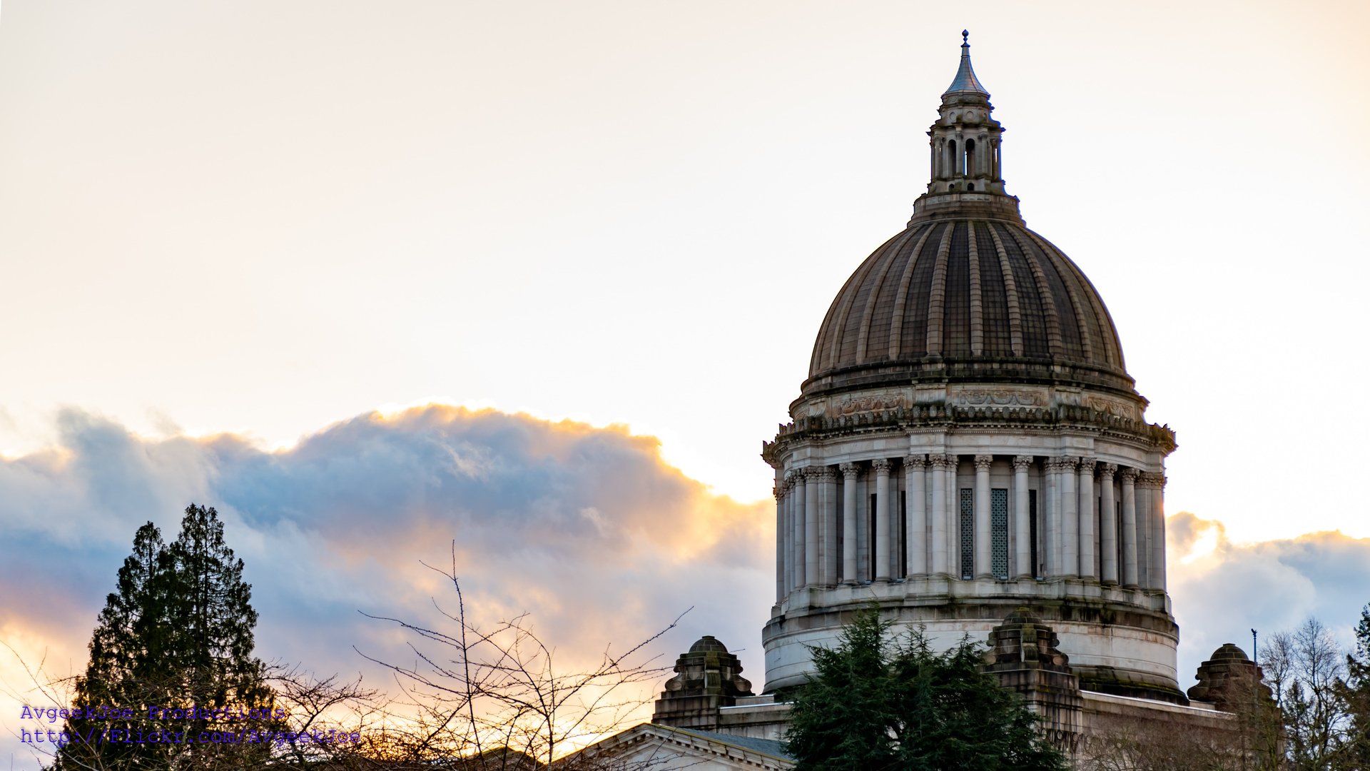 Emergency Beehiv: Comment by 5PM Monday on Proposed Model Rules