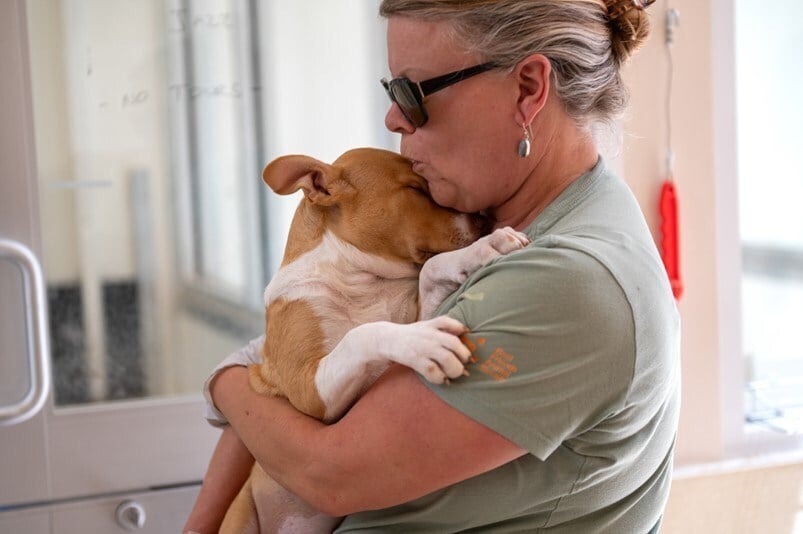 Pet Supplies Plus Aids Texas Pets After Devastating Floods