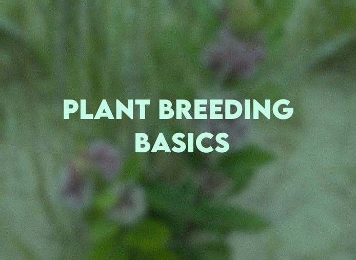 Plant Breeding Basics