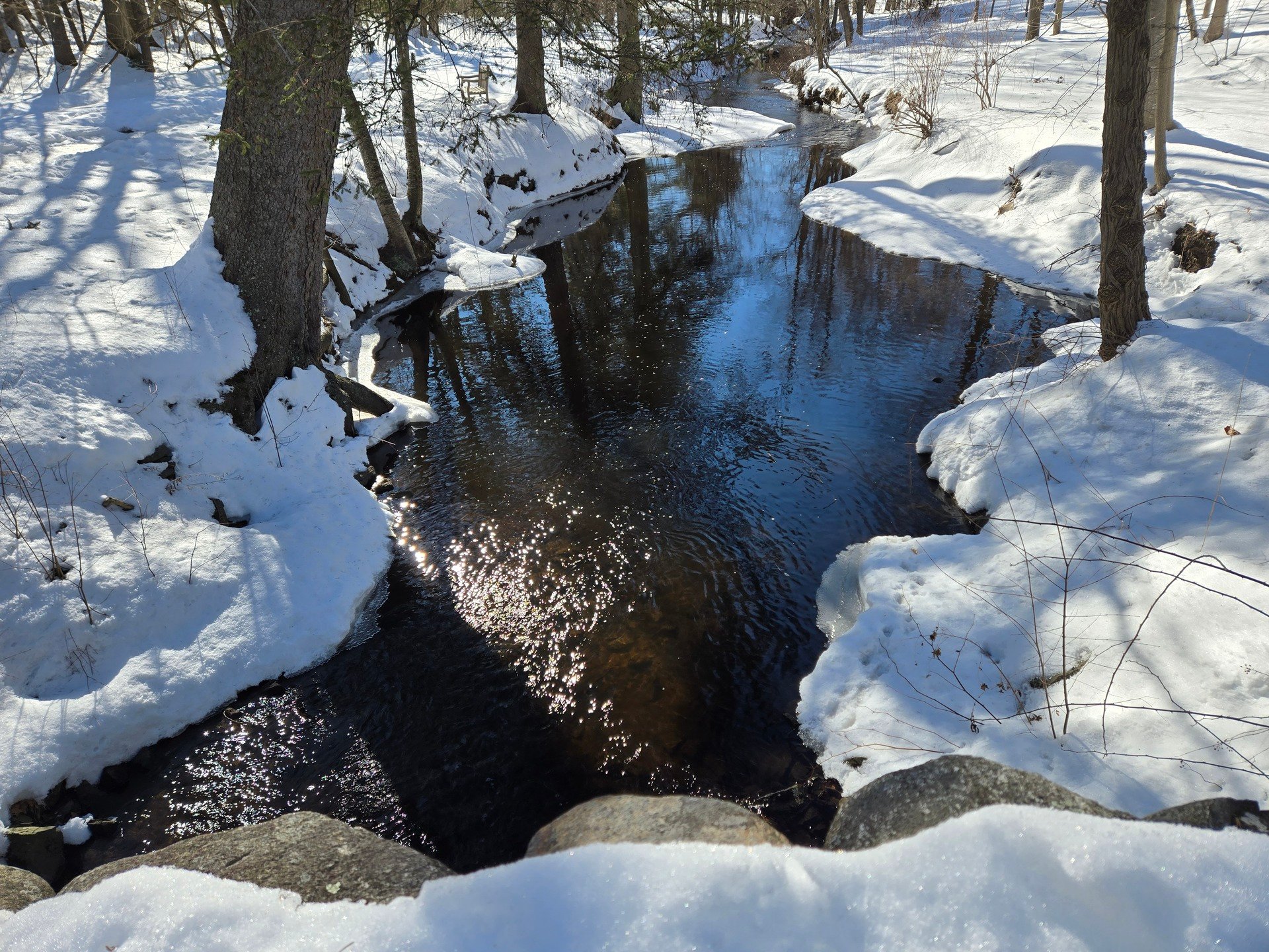 #AcademicRunPlaylist - 2/15/26