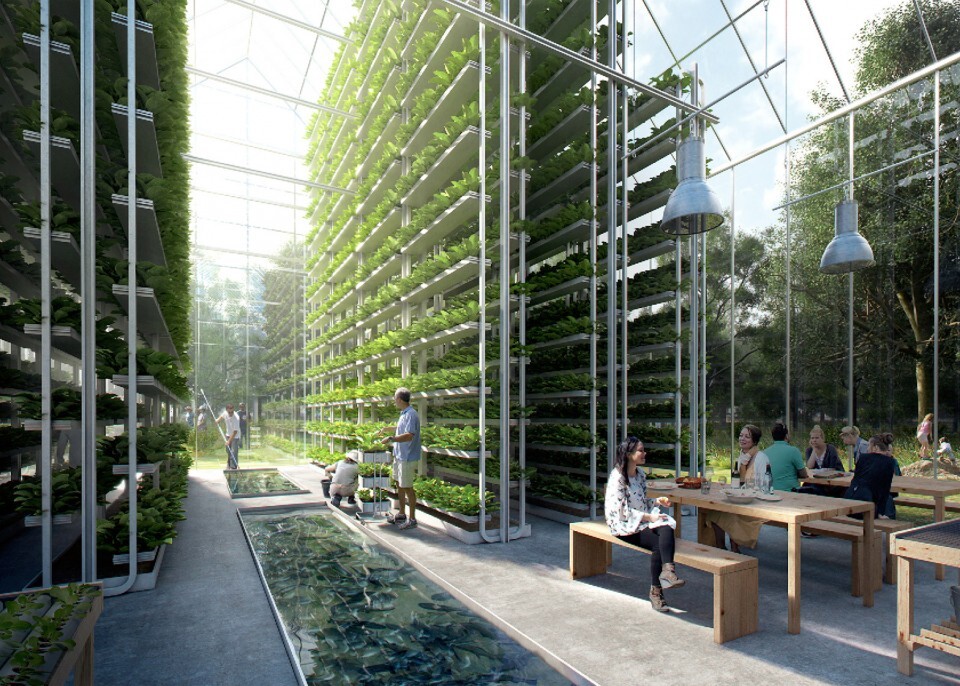 Insight: A New World of Vertical Farming