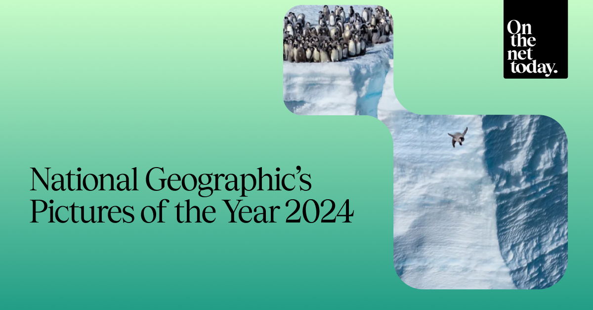 National Geographic’s Pictures of the Year 2024