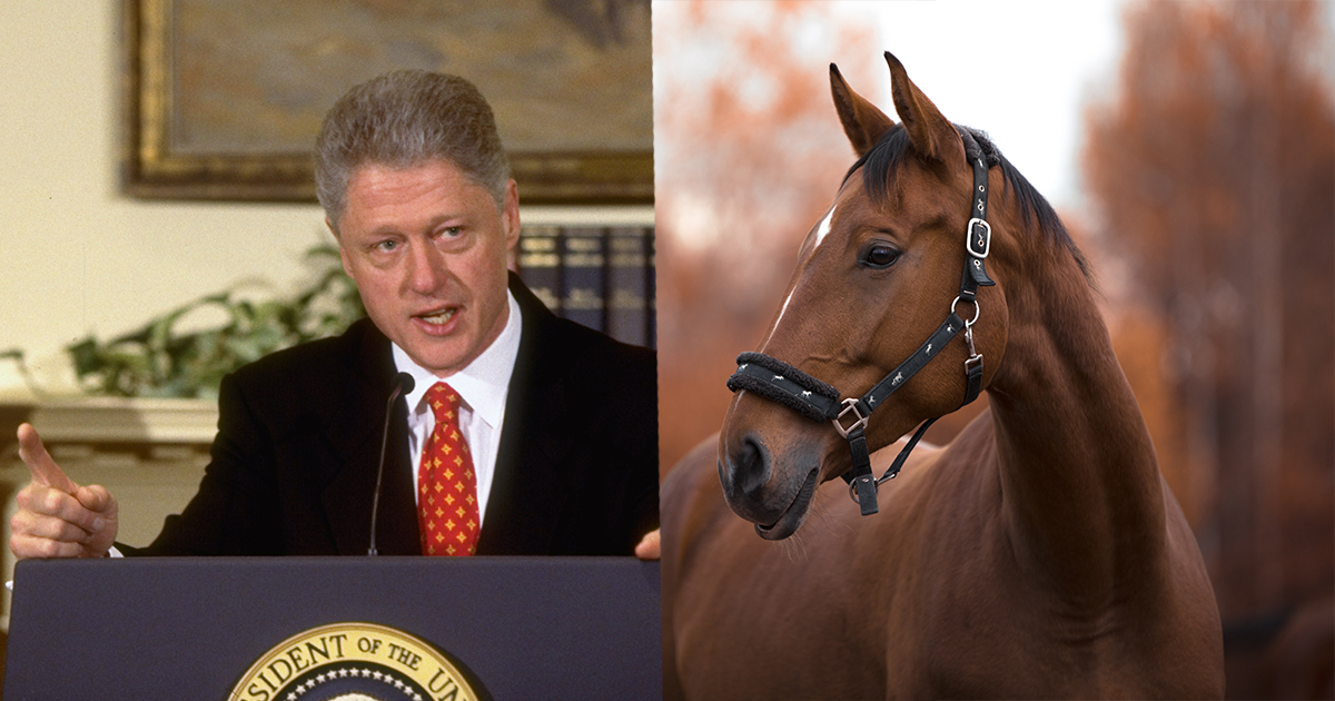 So ... who is Bubba?