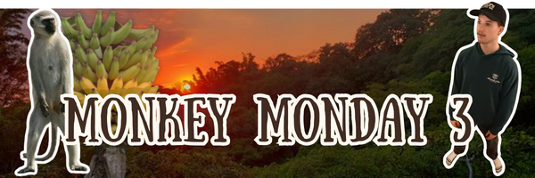 Monkey Monday 3 #3