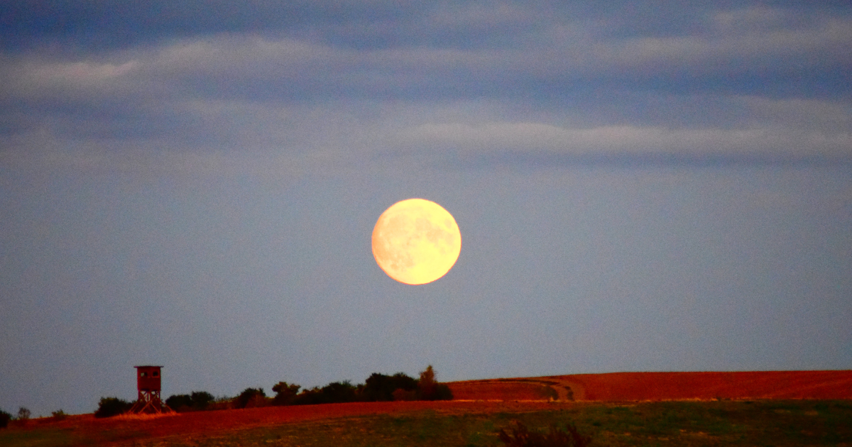 Why Rejection Might Be the Best Thing That Happens This Week