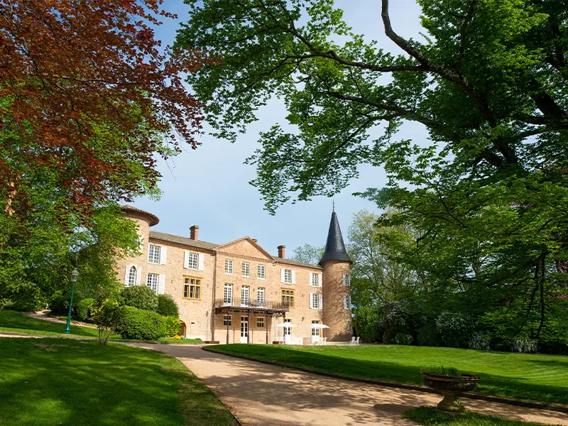 Discover the Beaujolais Châteaux, Jancis Eats Seville, The Sicily Wine Guide and much more... 