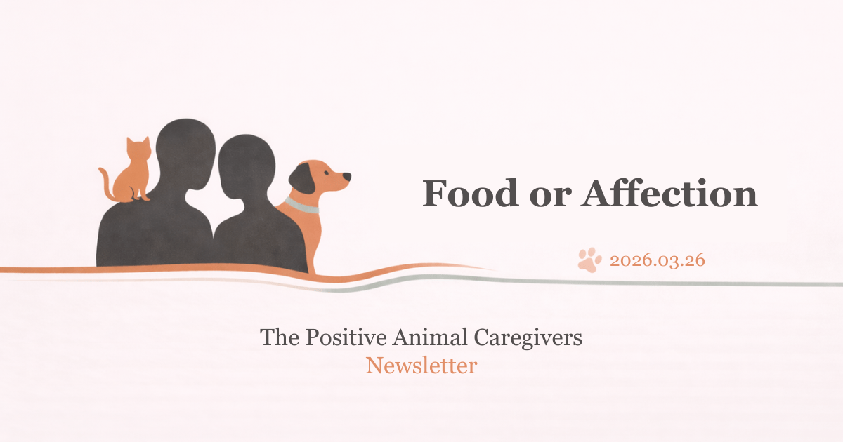 Taking Care of Yourself: Food or Affection