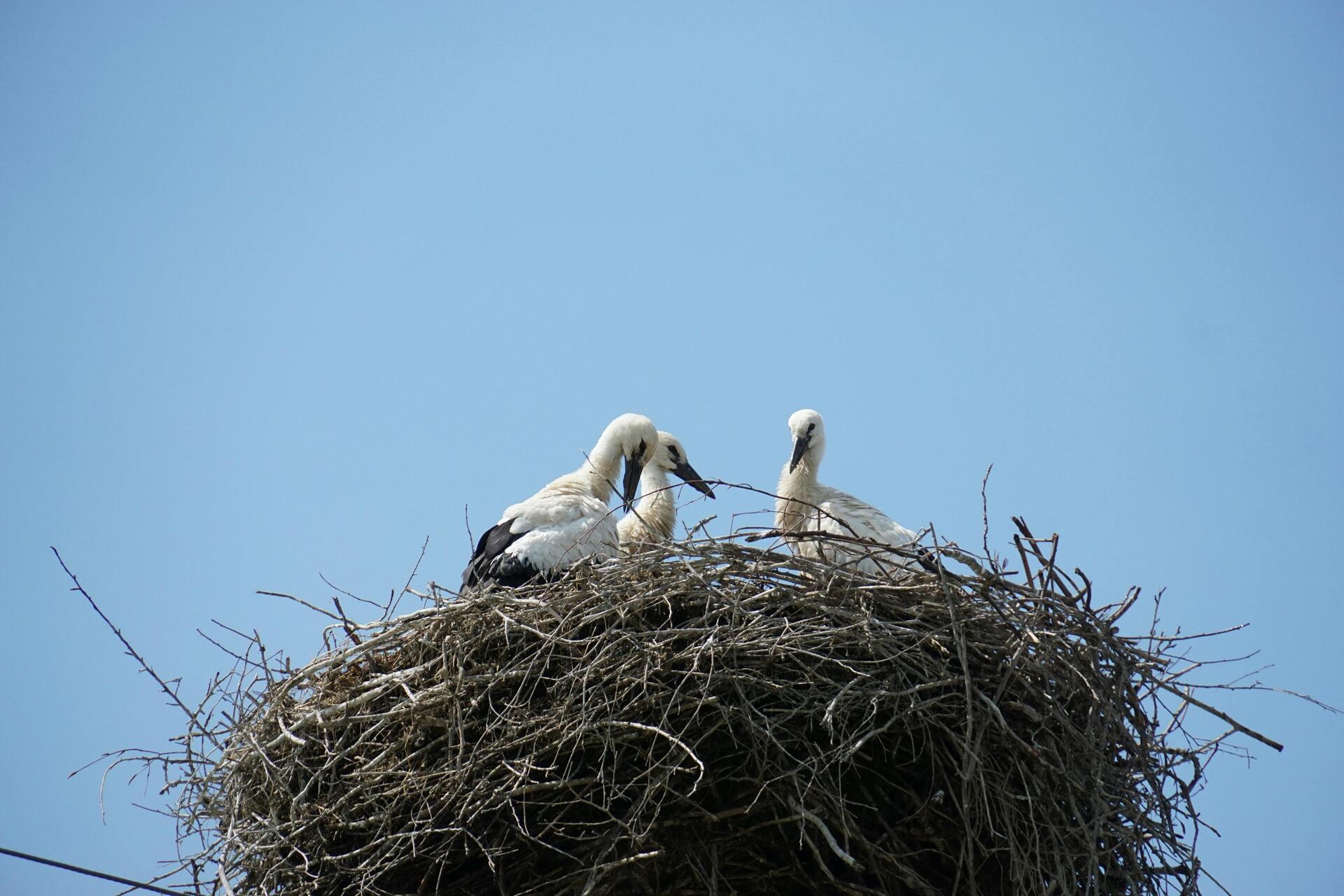 Why 'Worry' is Wrecking Your Wins