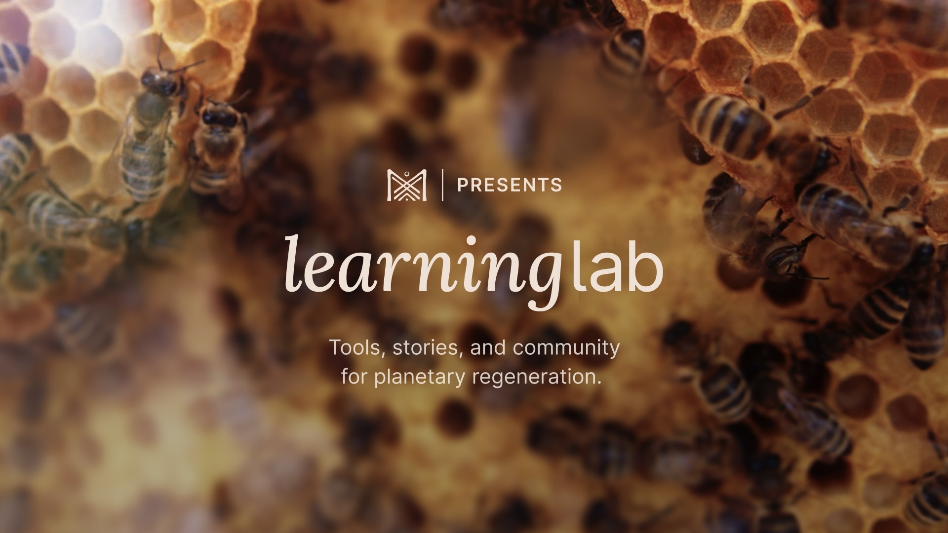 Introducing Learning Lab on Ma Earth