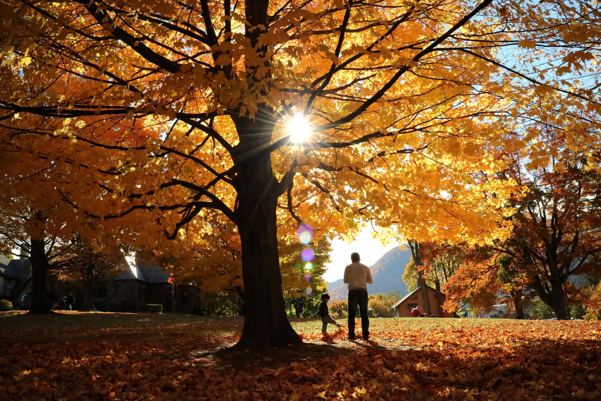 Next Gen: Smart money moves to start young