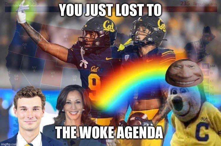 Week 3 - The Call Sheet