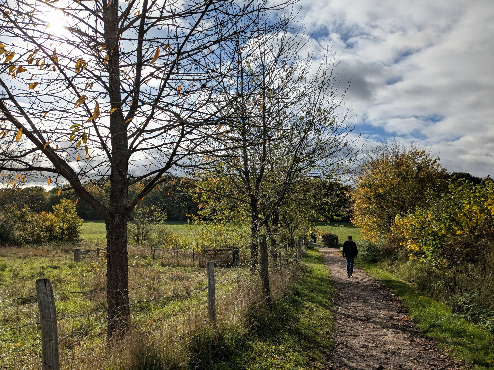 Christmas Lights are Turning on