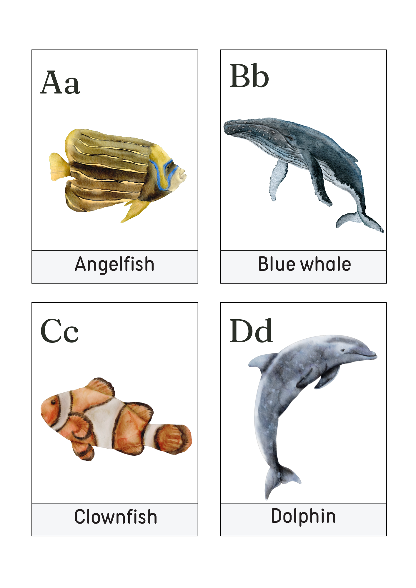 Ocean Flash Cards