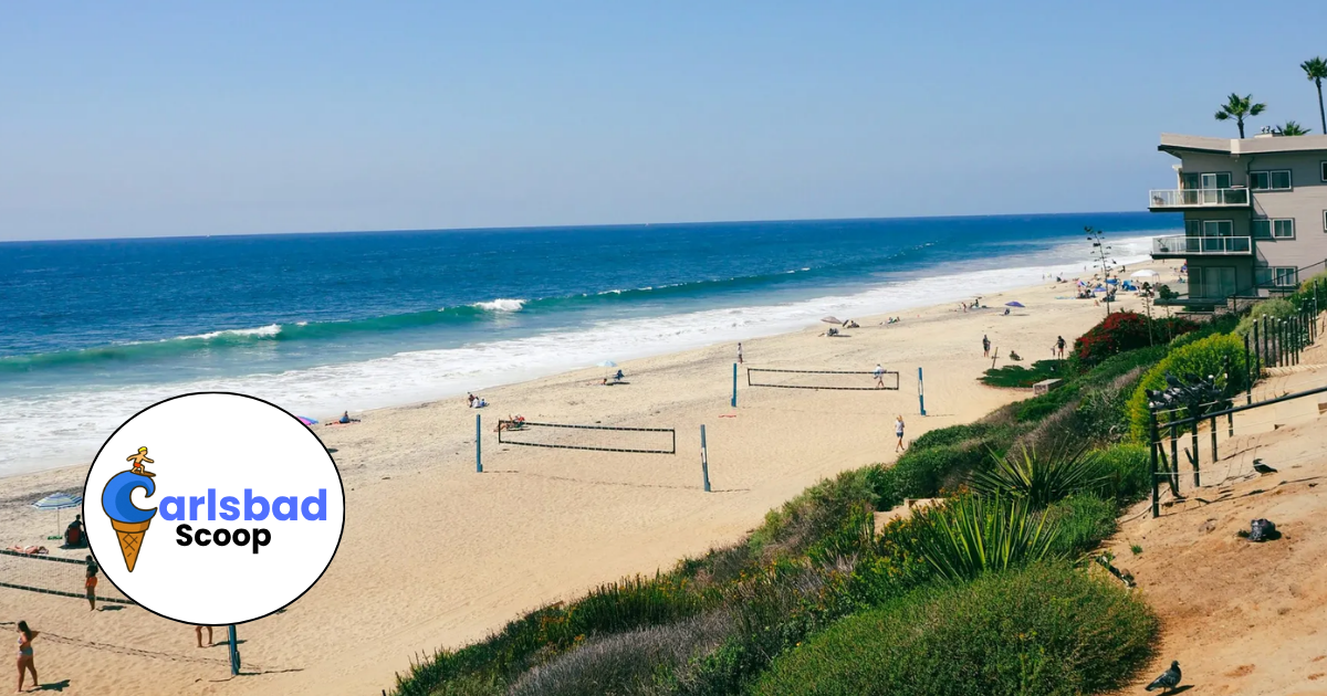 🌊 North County Fall Weekend