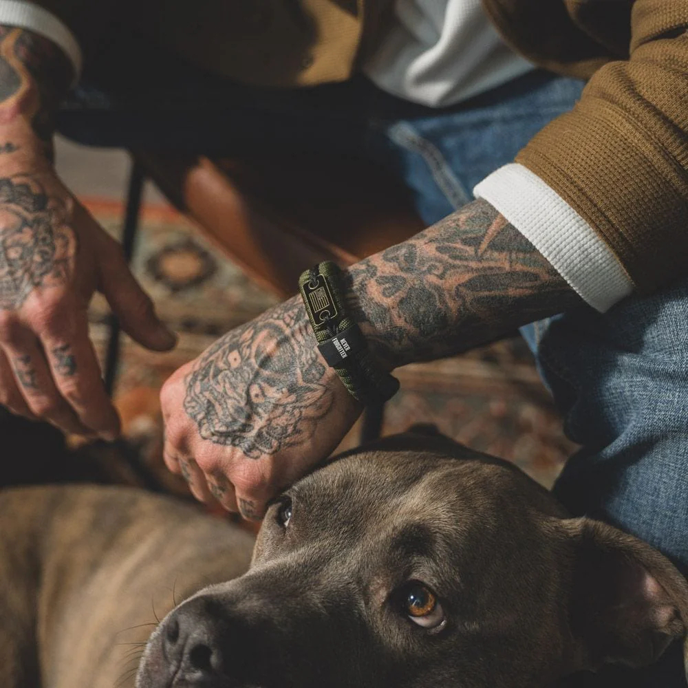 Unleashing Valor: A Comprehensive Journey Through the History of Military Working Dogs