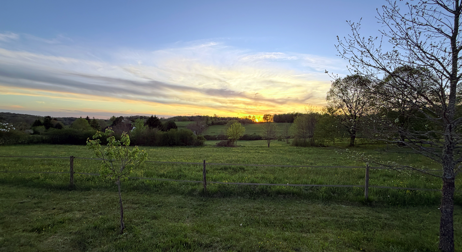 Spring Has Arrived in France (and So Has Our To-Do List)