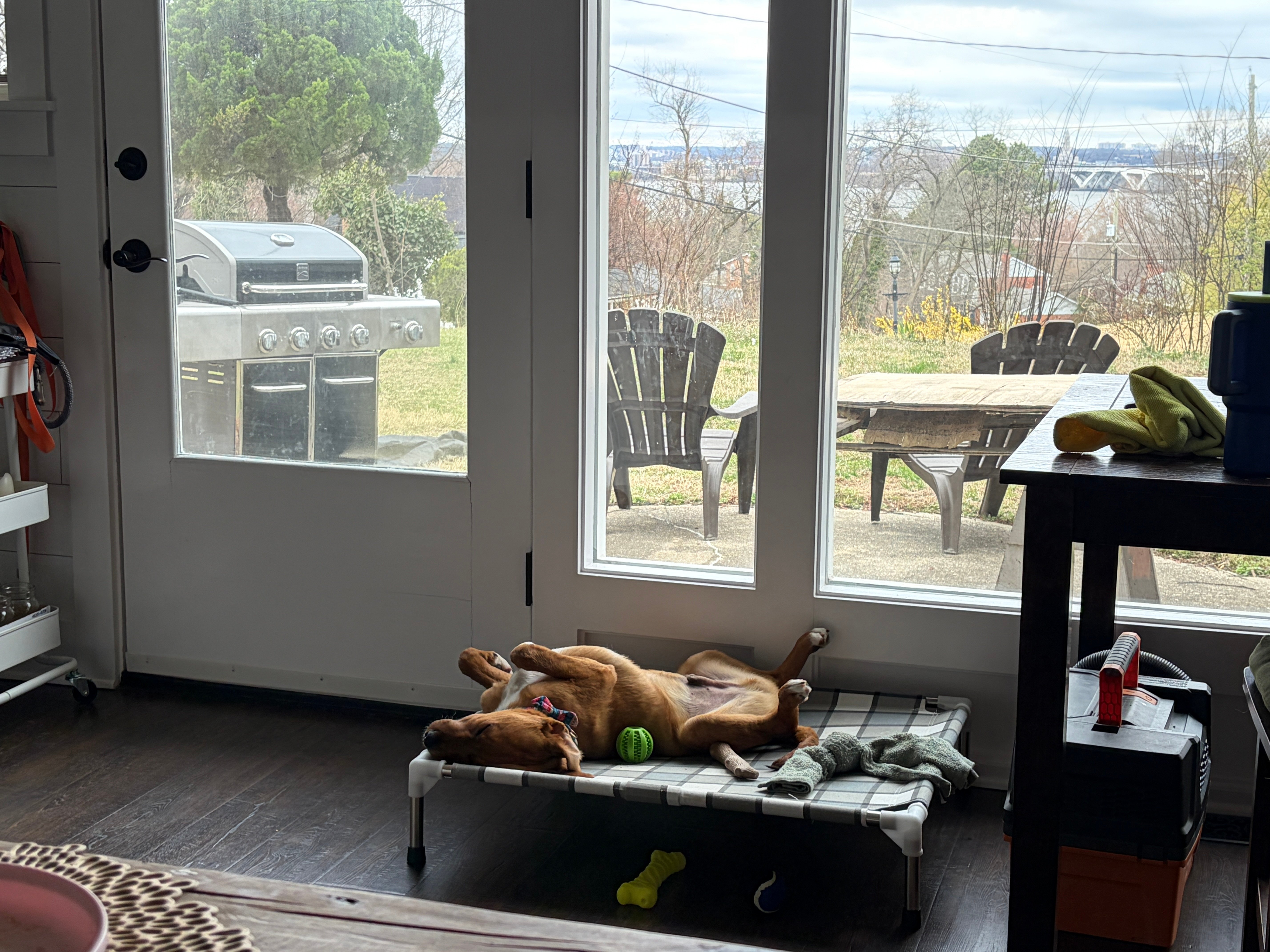 A Re-becoming. Welcome to Field Notes.