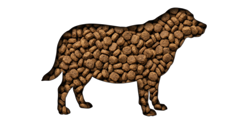 Why Dogs are Getting Fatter and How to Stop It