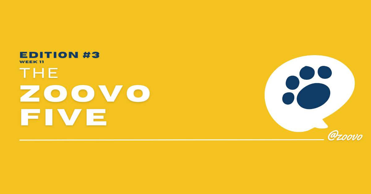 Edition #3: Pool-Playing Cat, Vet Checkups, GPS Tracker Reality, Leash Reactivity & Utrecht’s Cat Café Heaven