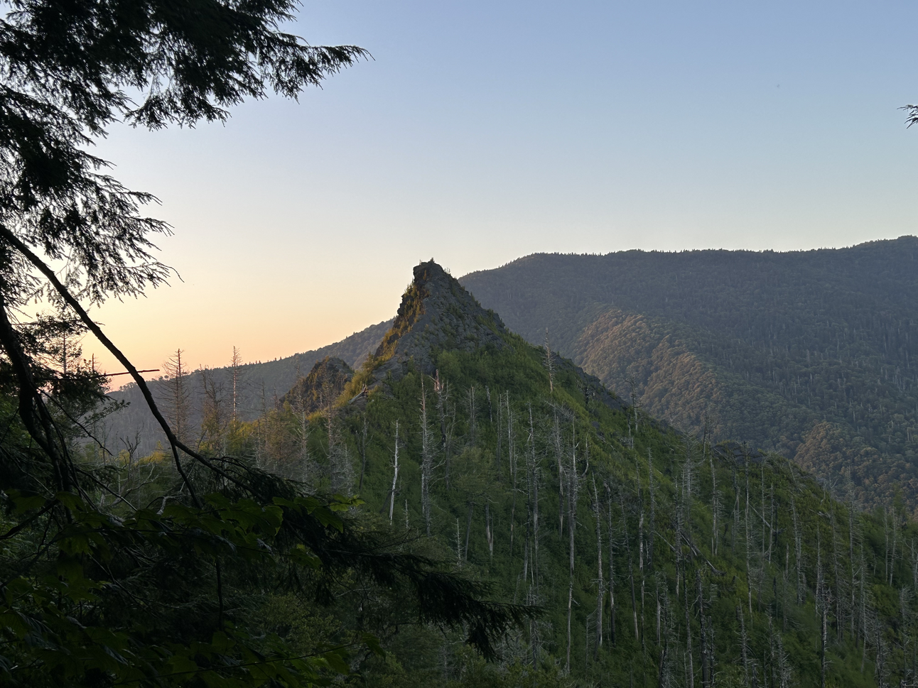 What contrarian songs and rural surveys say about November