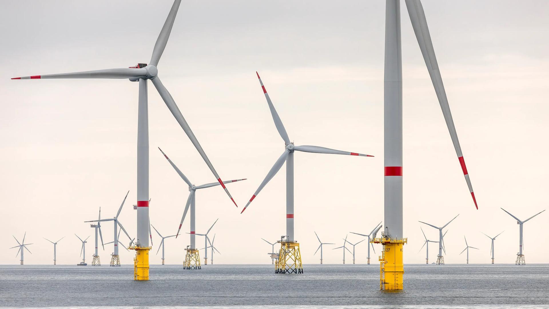 Vision AI weekly: Issue 15