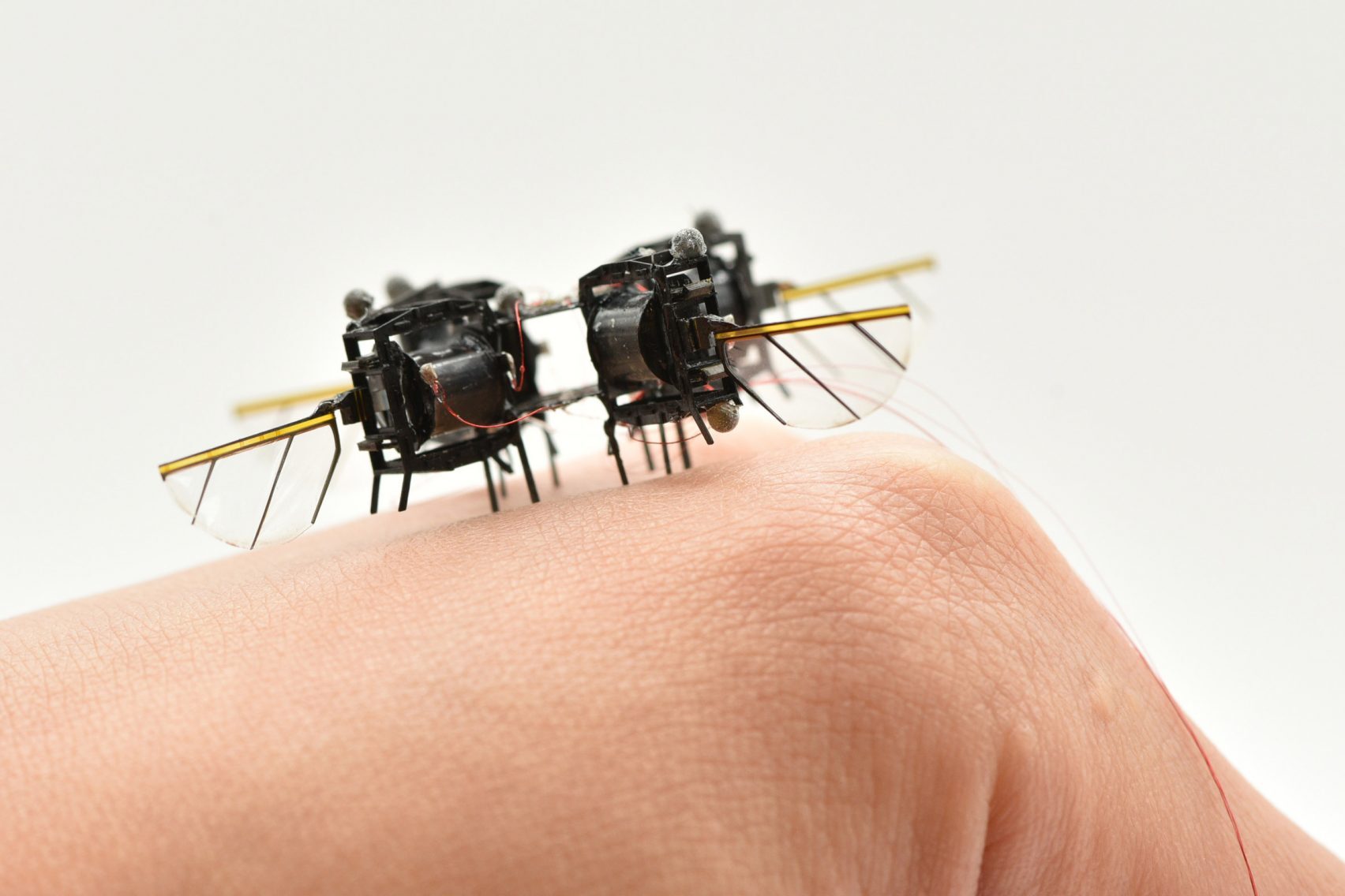 Why This Tiny Robot Is a Breakthrough for Flight