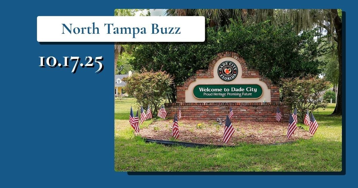 🍂 Fall Finds, Local Heroes