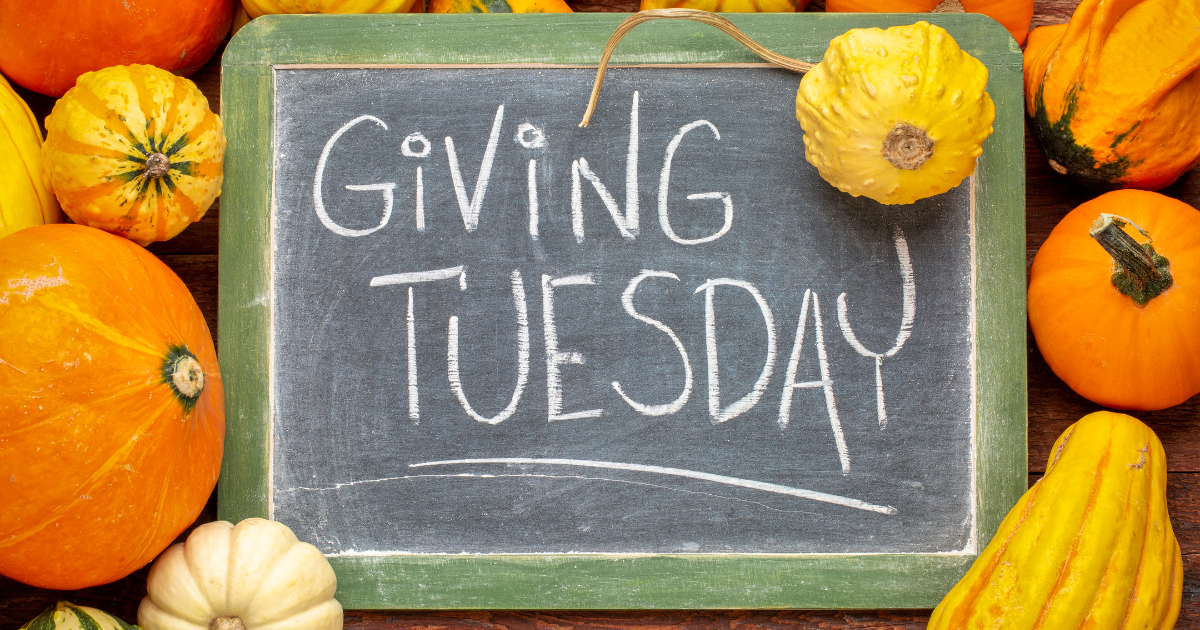 November 27 Newsletter: Local nonprofits and charitable organizations you can support on Giving Tuesday