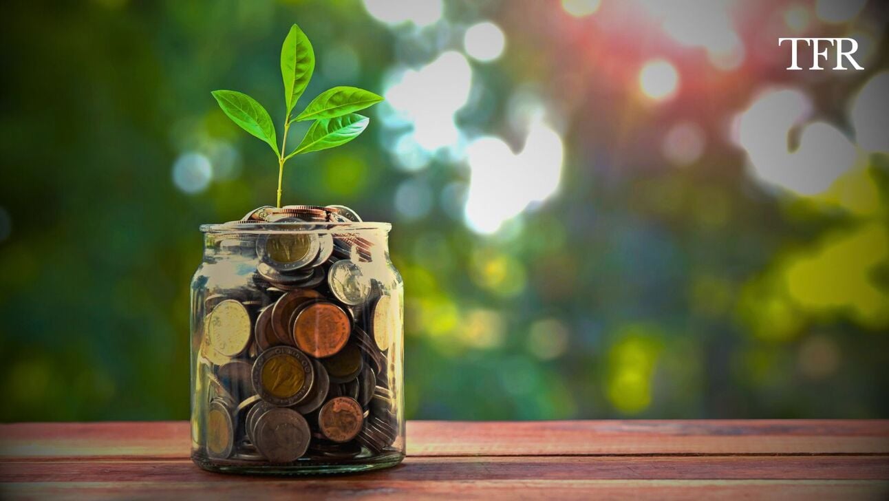 Disposable Income: The Cheat Code to Financial Freedom