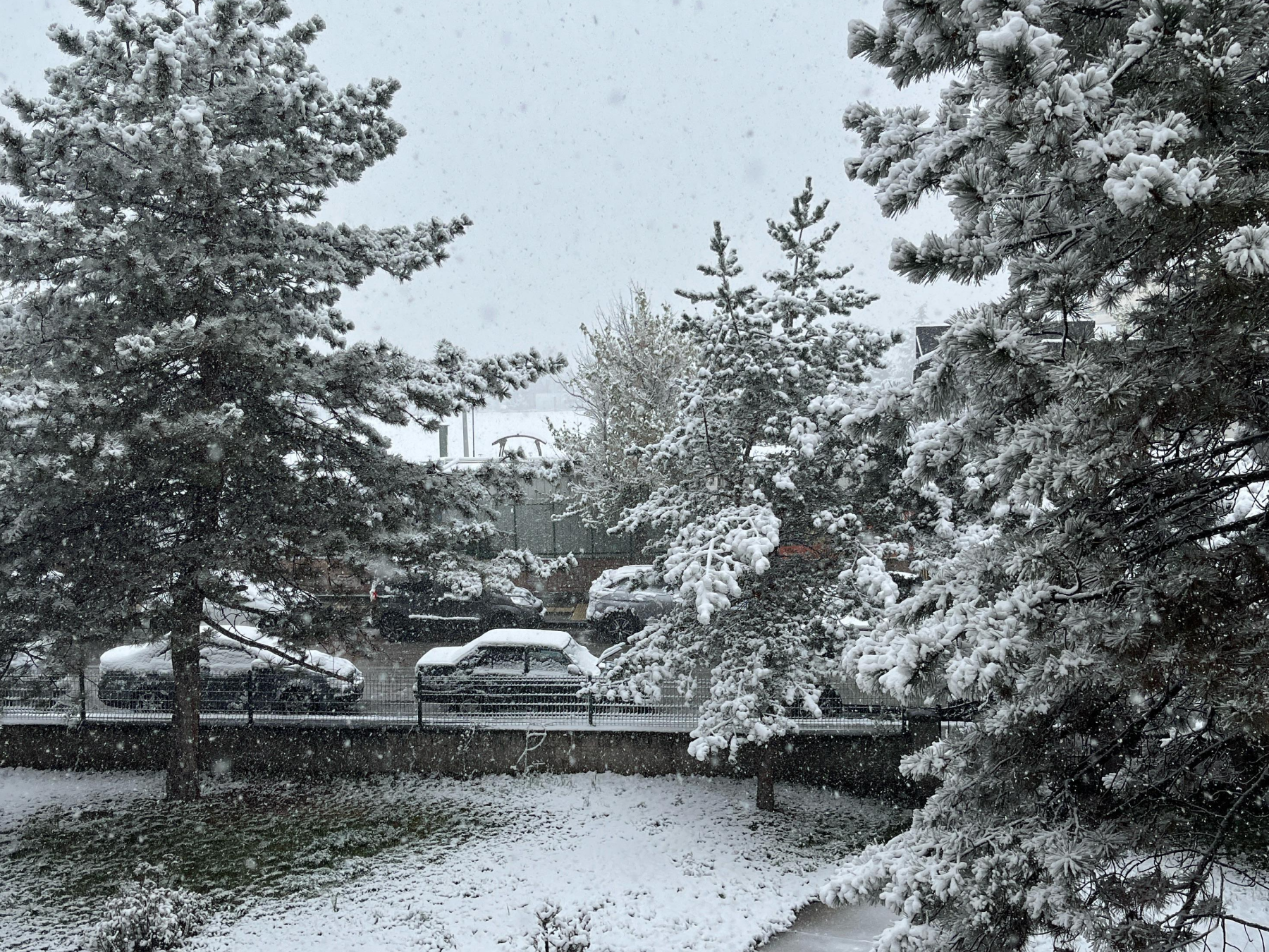 filAnkara #043: 26 Şubat-1 Mart 2026