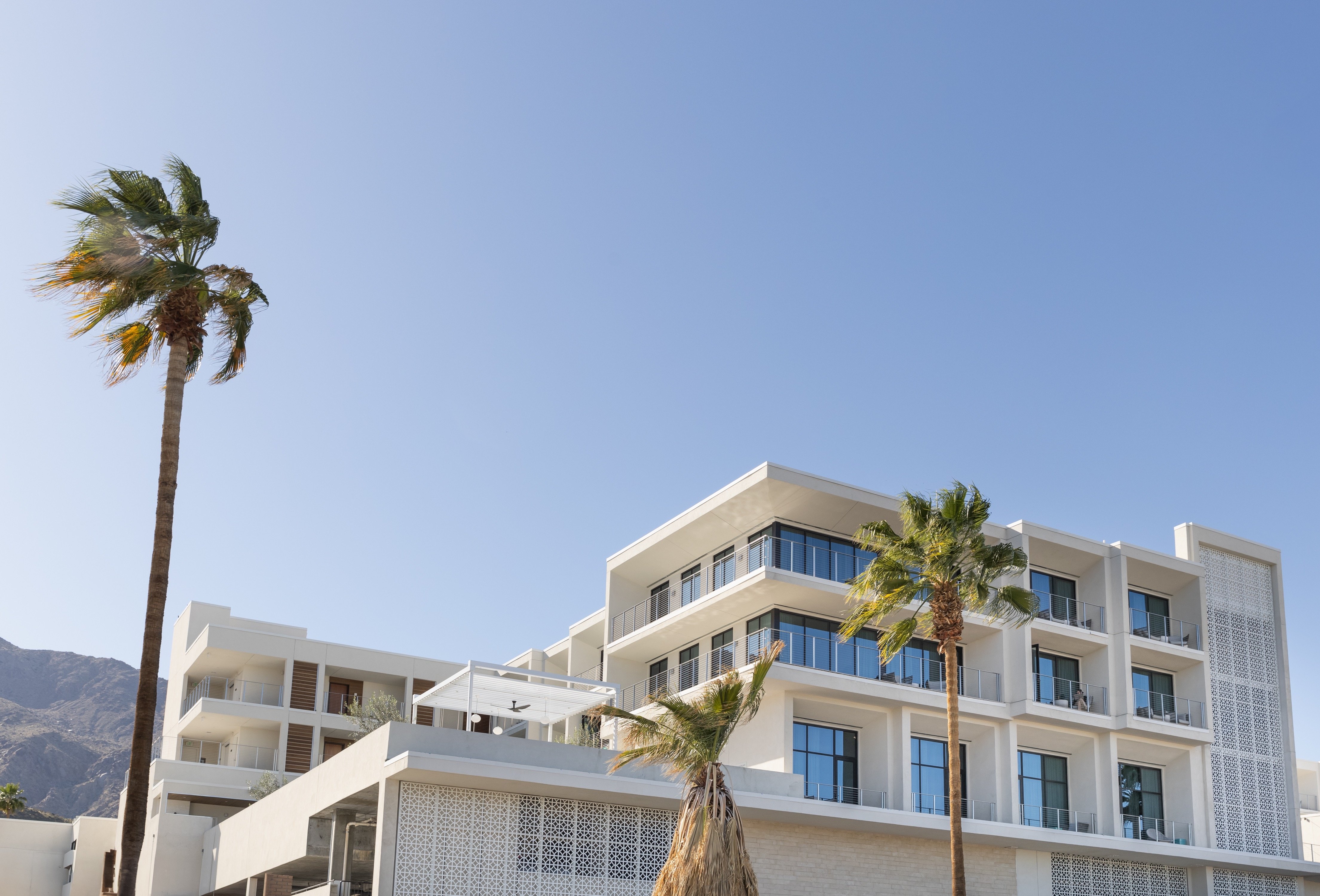 Thompson Palm Springs—Bold Art, Bright Design, and Big Flavor