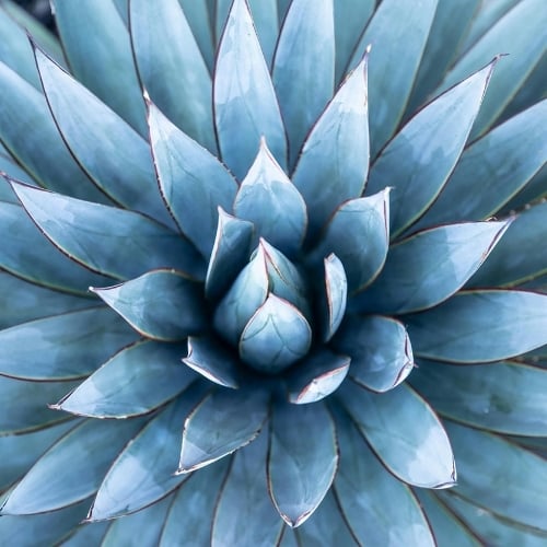 The Spiral Path Into Wholeness