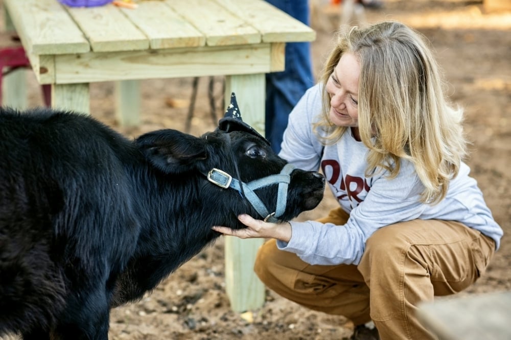 HTX-KTY: Impact 12/5/2025