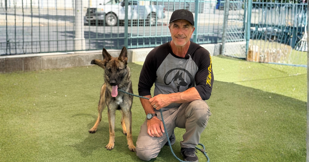 What Actually Happens When a Shelter Dog Fails Its Evaluation