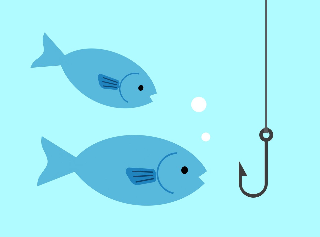 HMRC cracks phishing ring with 14 arrests