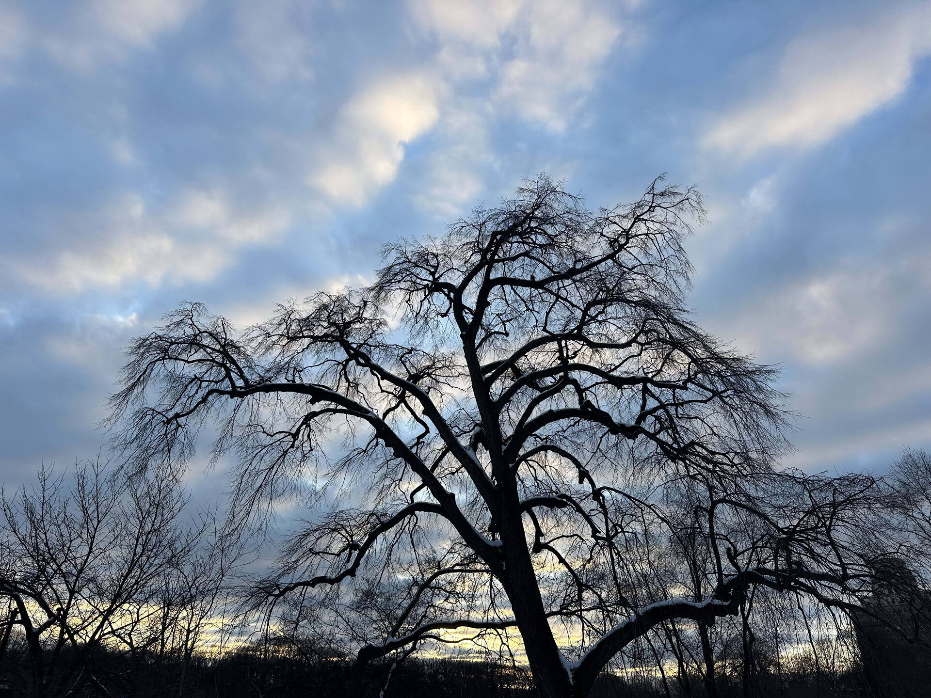 On the importance of awe...