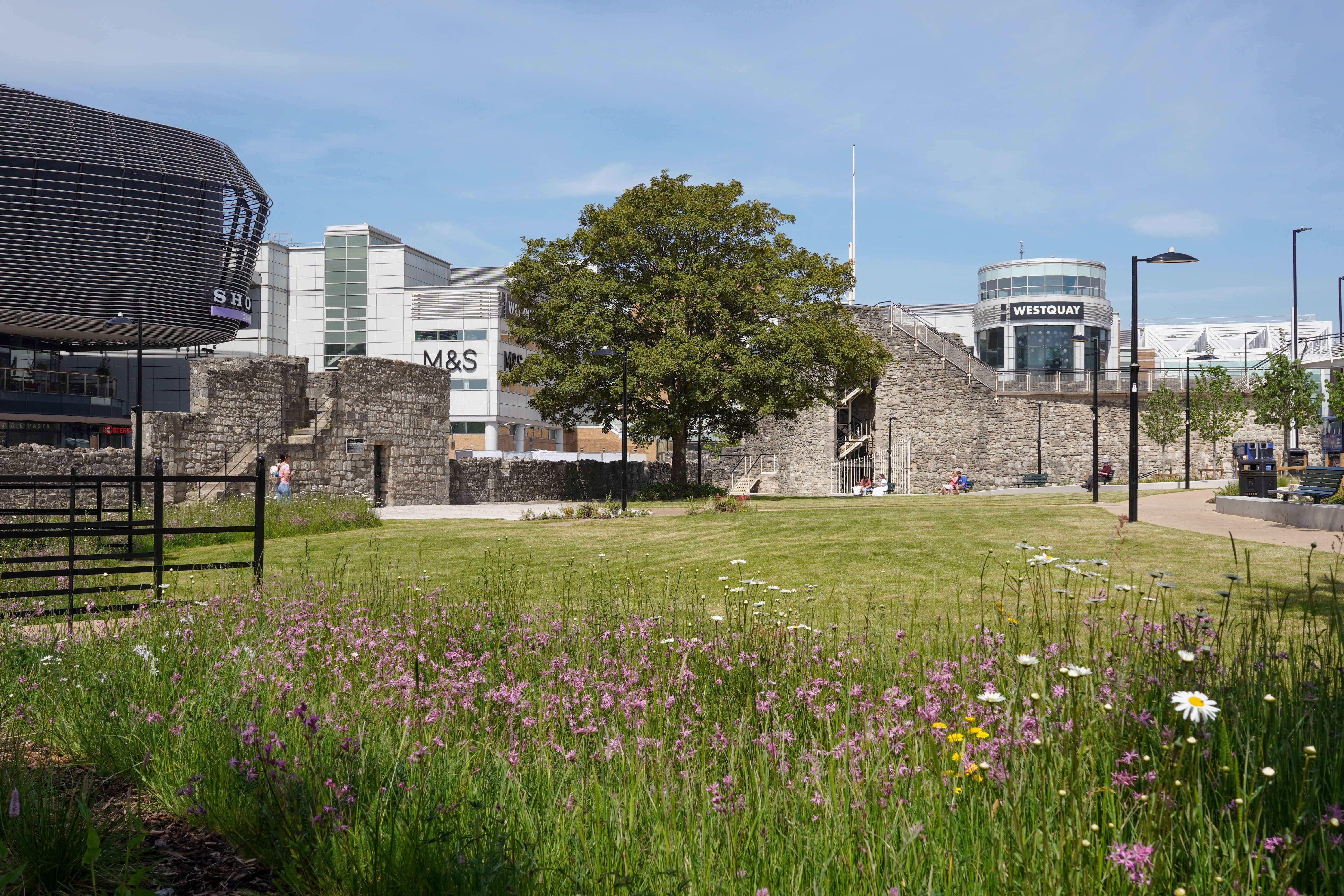 From Drains to Dreams: How the UK Is Turning Forgotten Spaces into Living Wetlands