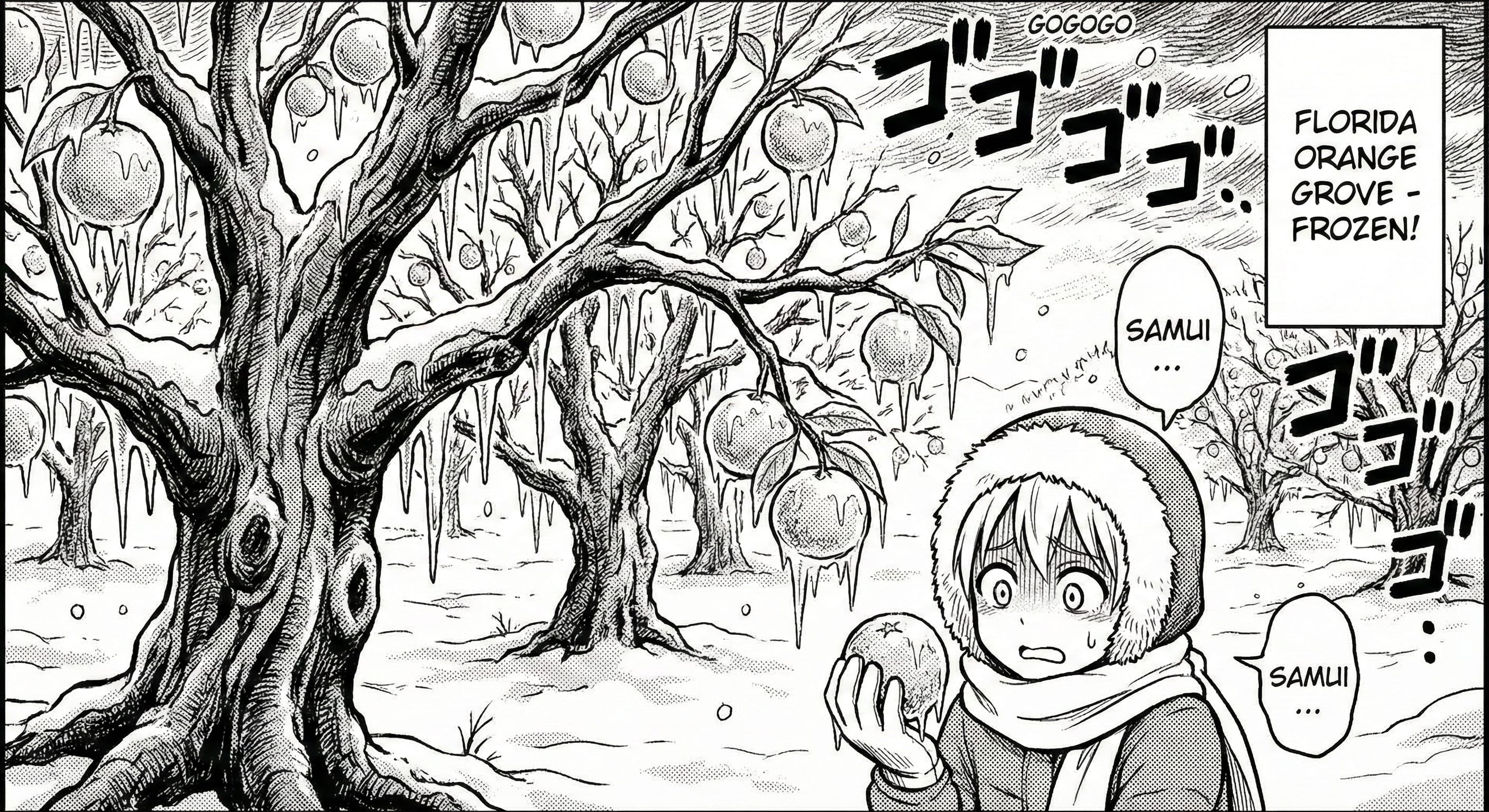 Why Didn't This Year's Florida Freeze Increase Orange Juice Prices?