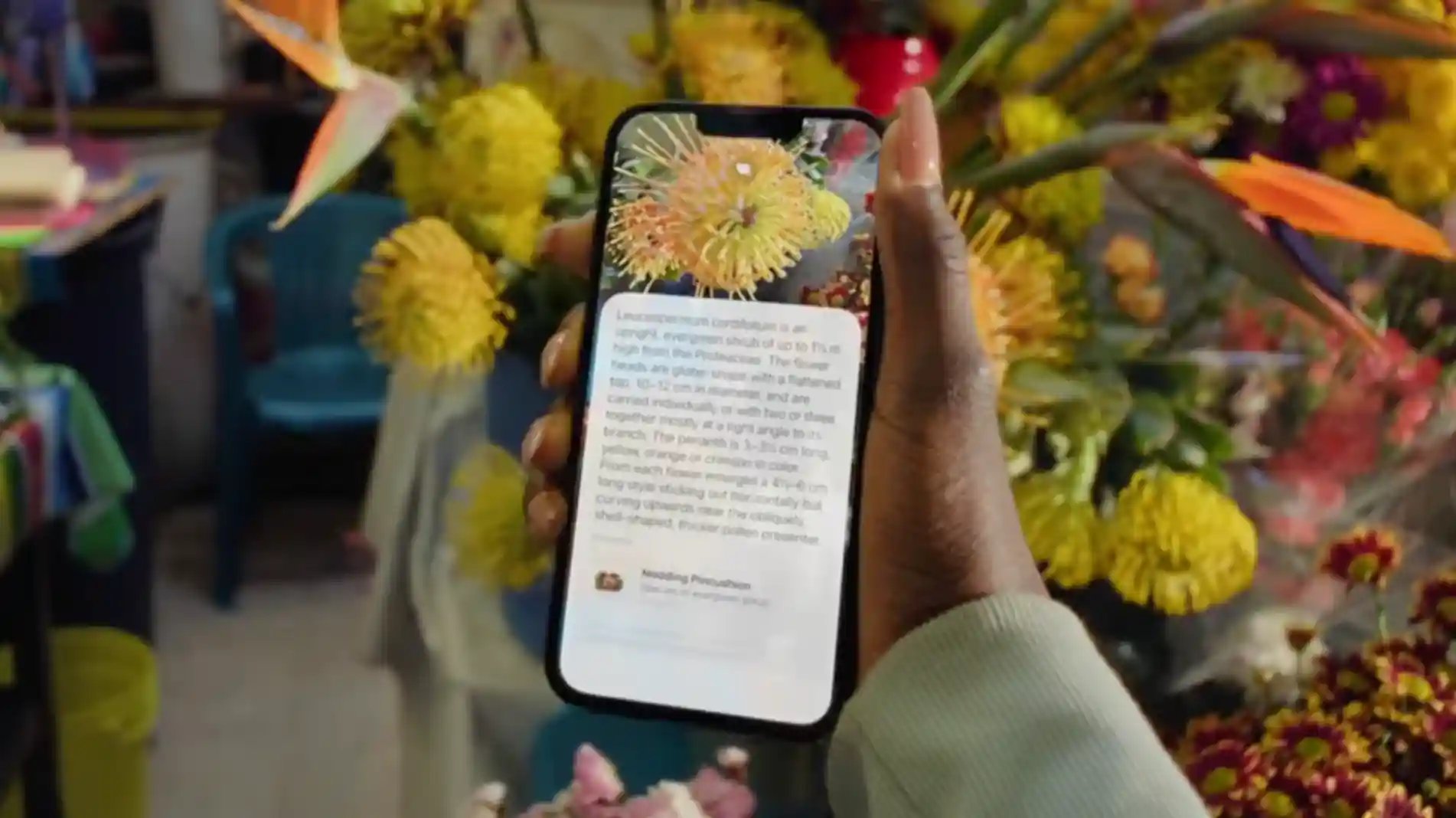 📱 Apple lanza iPhone con IA para todos