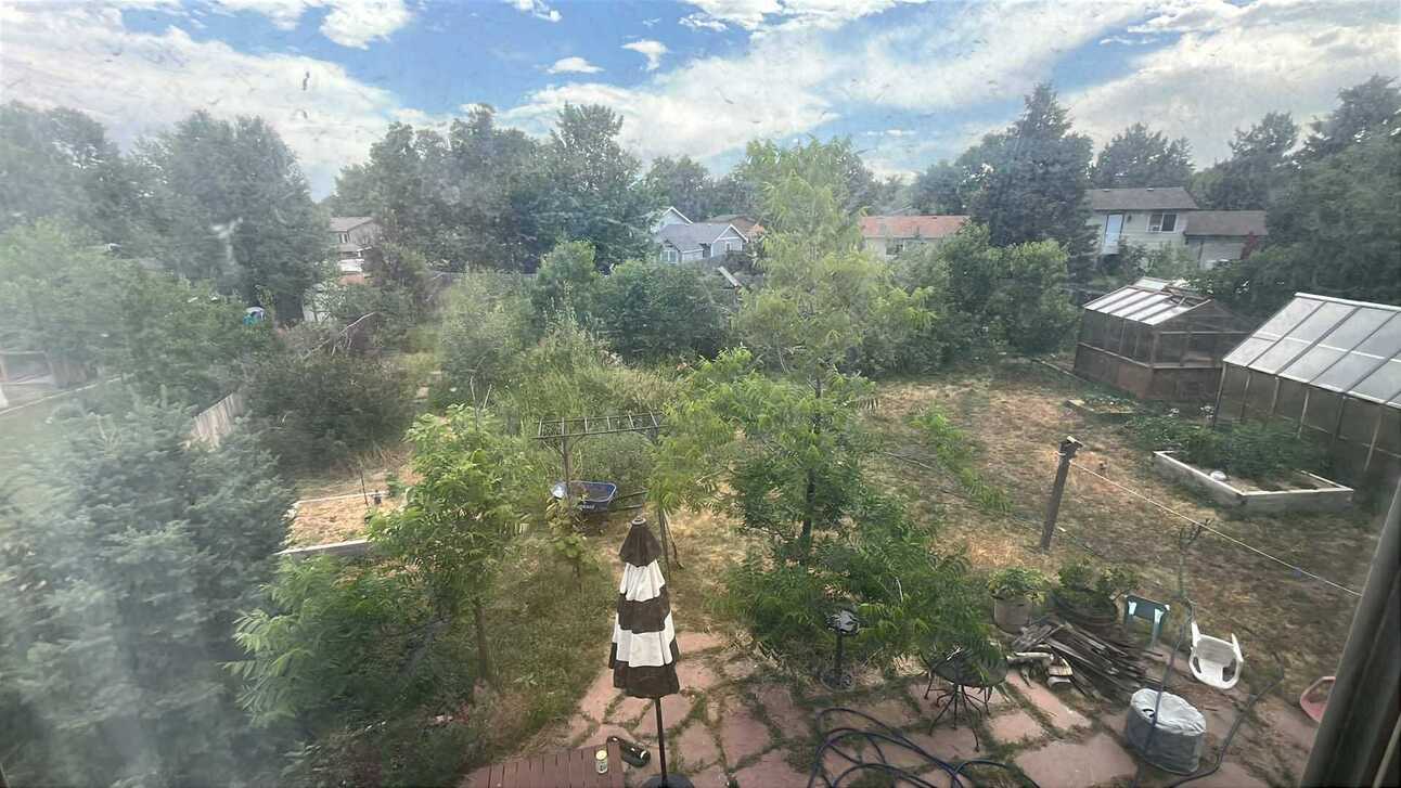 The Case For Killing Your Lawn