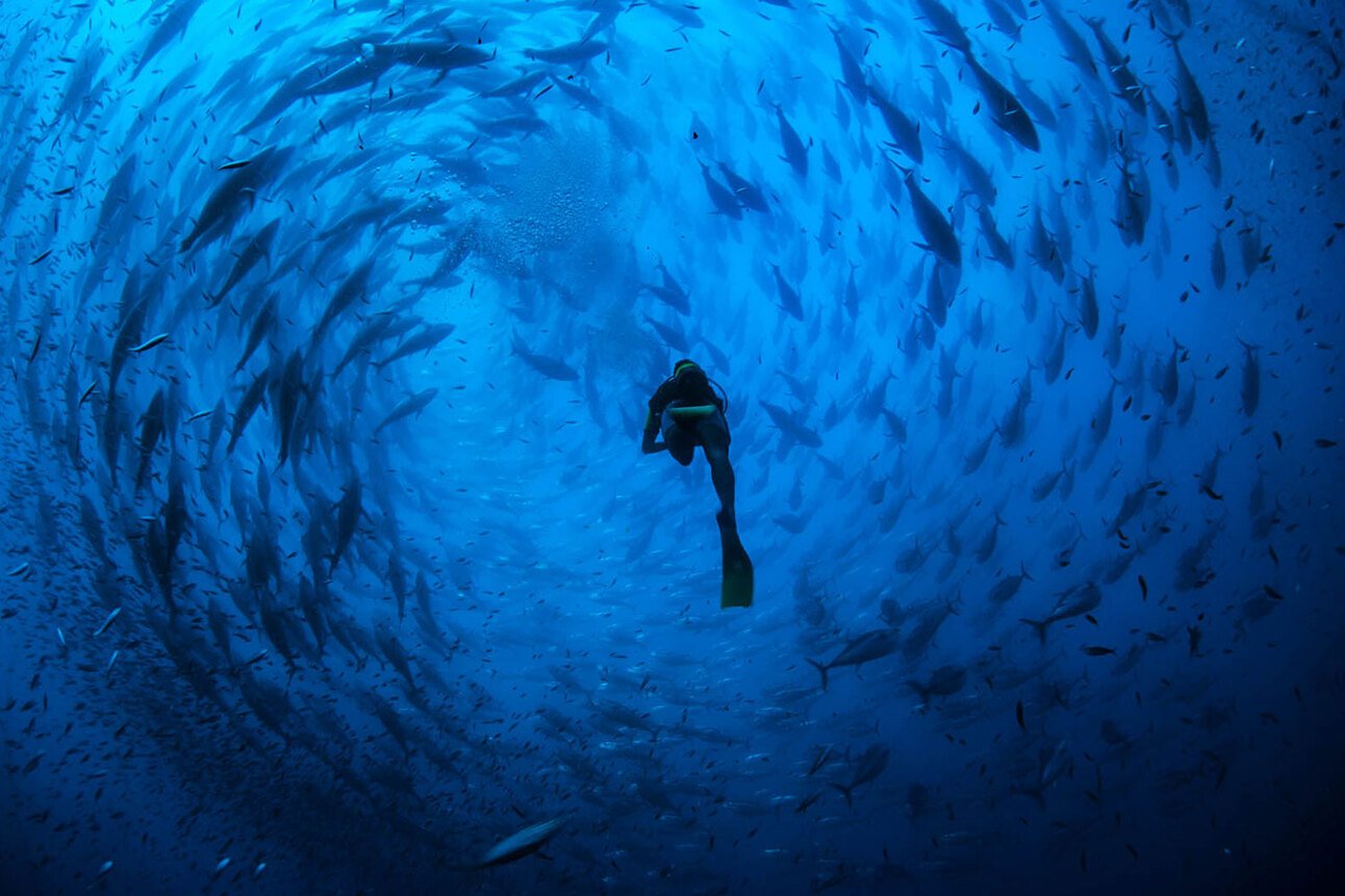 96 - The blue revolution