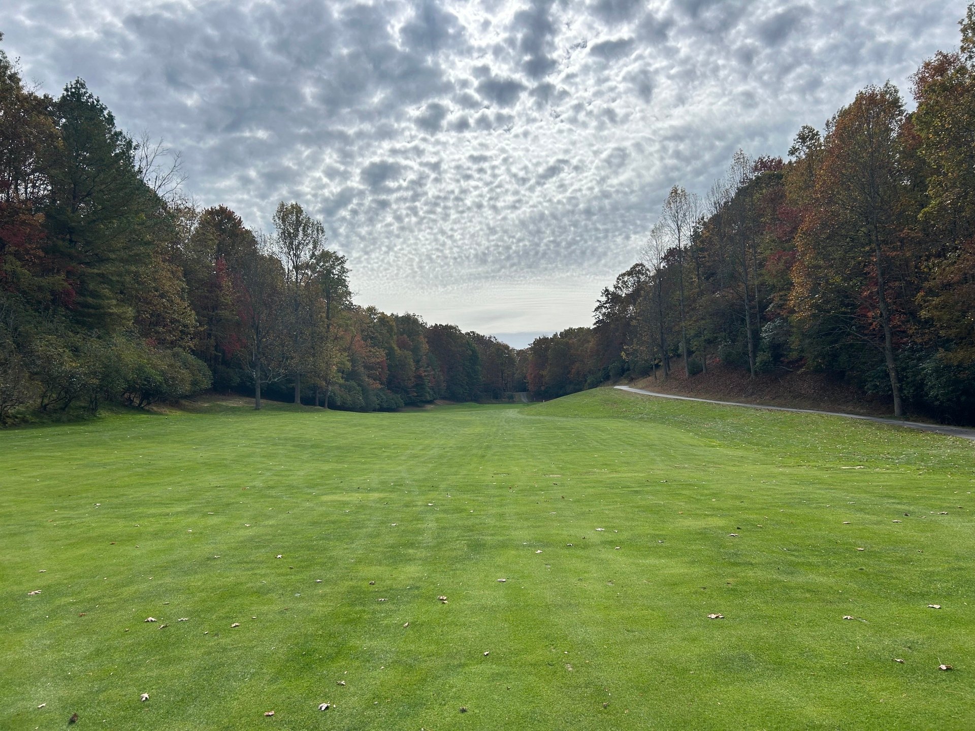 Connestee Falls Golf Club: Fall Foliage and Firm Greens in Brevard