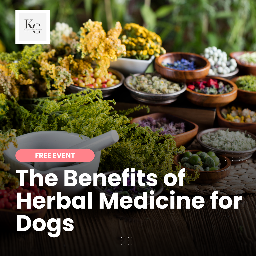 The Natural Way: The Benefits of Herbal Medicine for Dogs