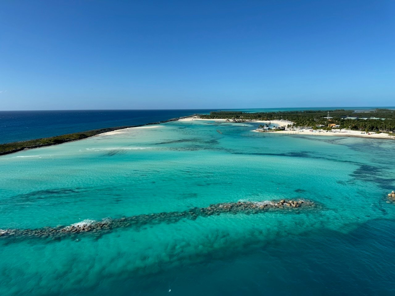 Transfer a Disney Cruise Booking to a Travel Agent